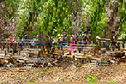 Tour-visitors